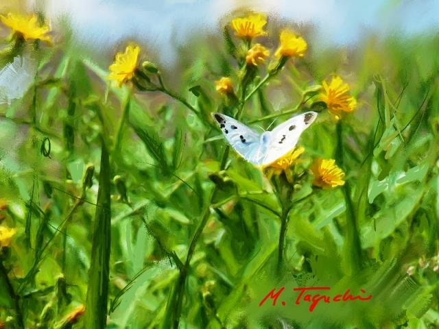 ��i34�D�Ẵ`���E